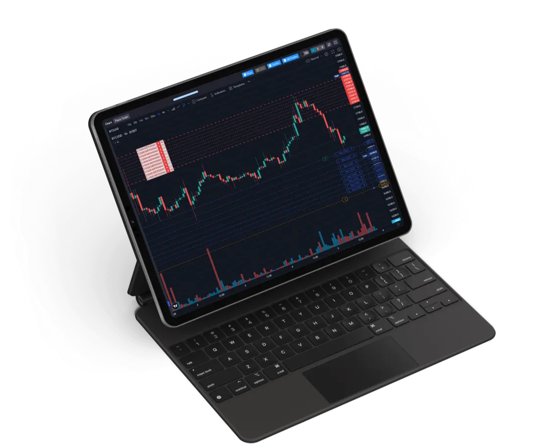 TS-Chart-only-iPad Pro 2020 (1)